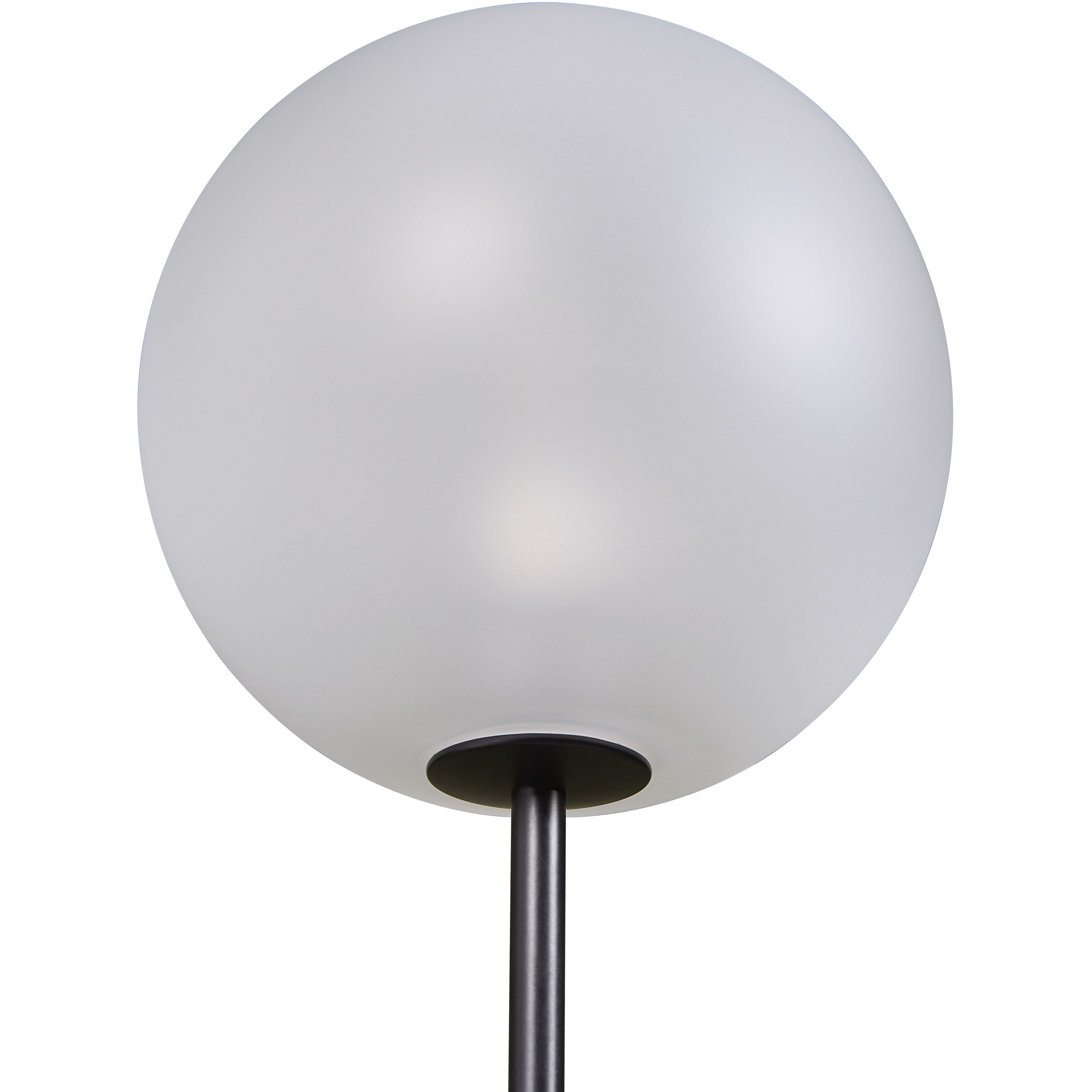 Izora LED 7 inch Black / Frosted Sconce Wall Light